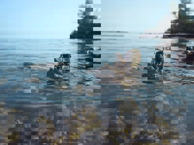 The Tampa Bay Estuary Program Zwtbh3mflou Unsplash