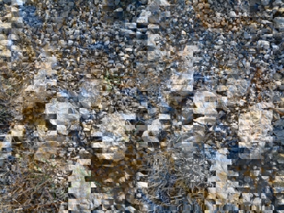 4139914708 1537C39b77 O